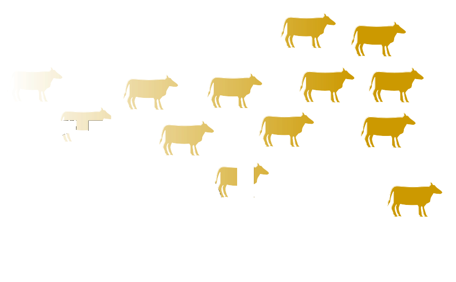 Flokk Logo
