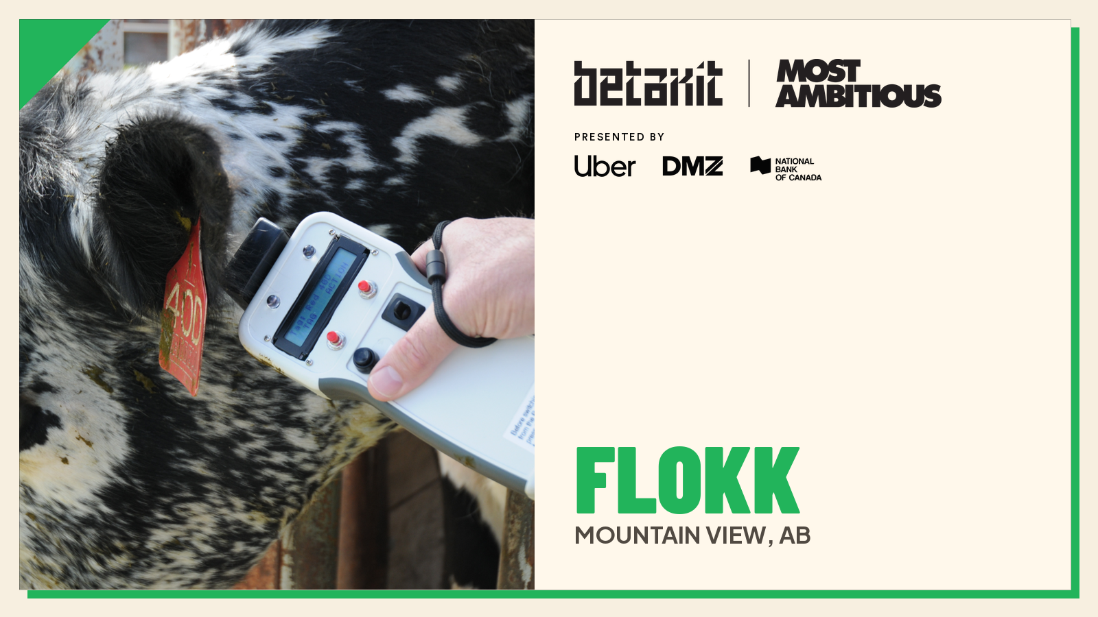 Flokk &ldquo;Betakit Most Ambitious Honouree&rdquo; certificate