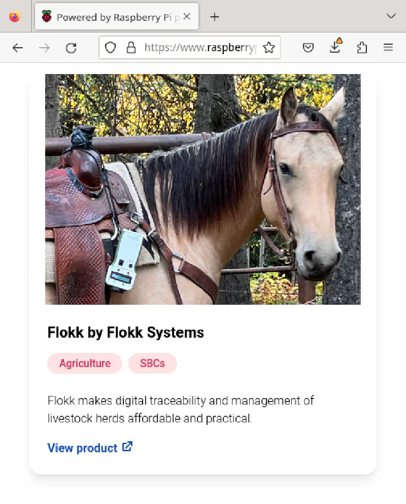Flokk on horse
