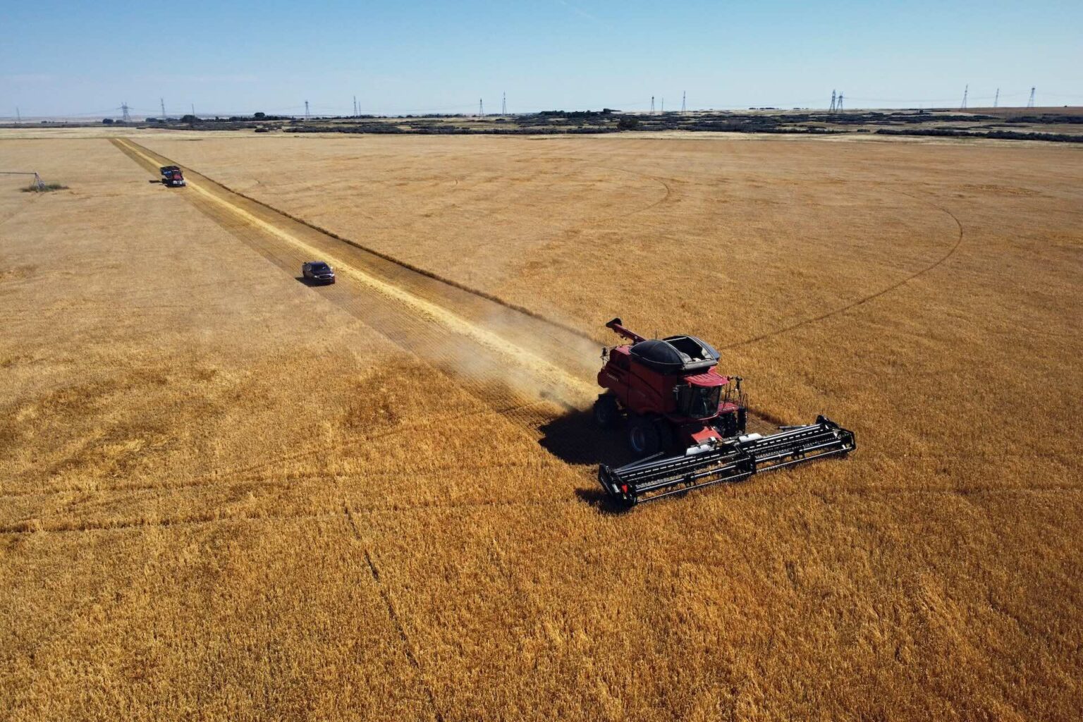 Harvesting malt barley near Duchess, Alberta. Credit to Todd Korol for The Logic.